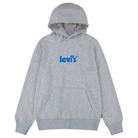 levis---logo pullover-hoodie